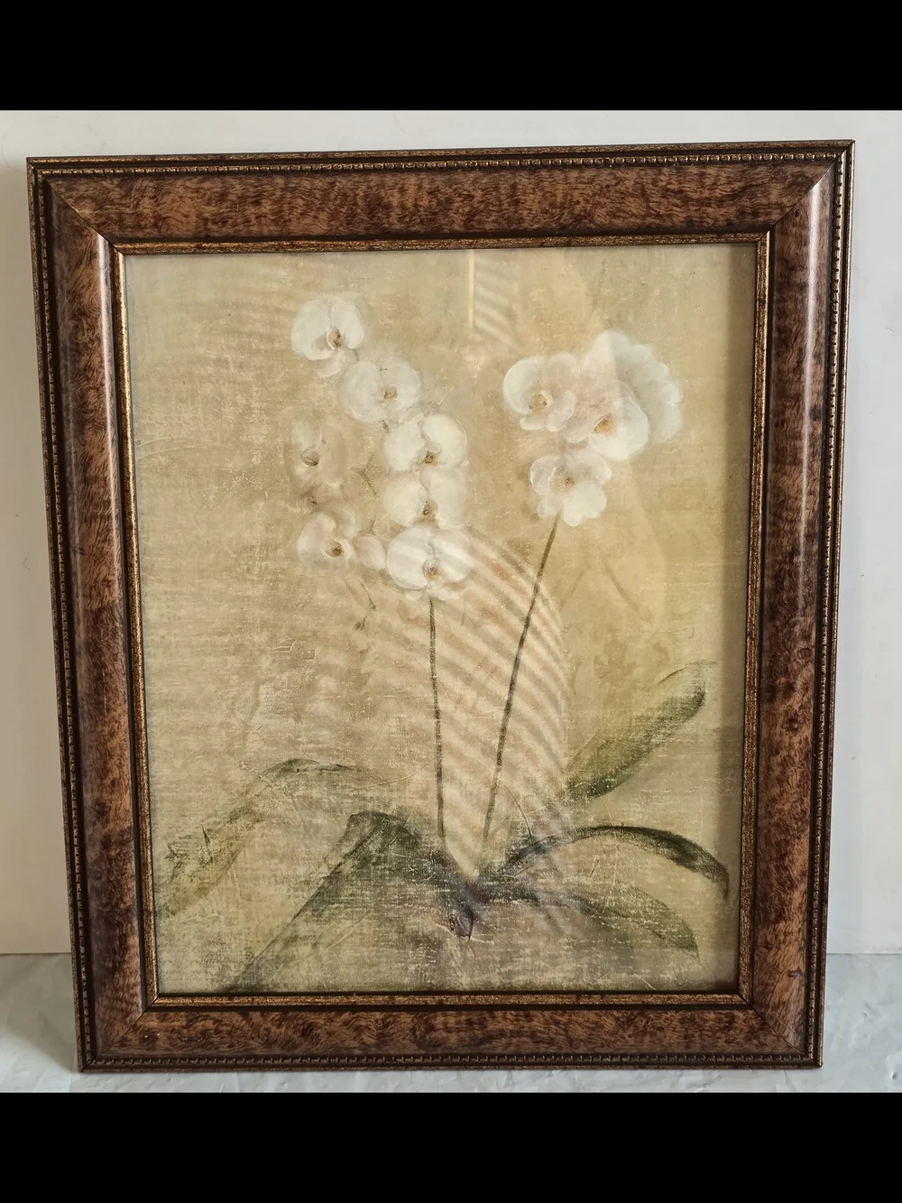 White Orchid Botanical Framed Wall Art New 12x10 Inch